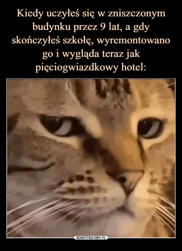 
    Kiedy uczyłeś się w zniszczonym budynku przez 9 lat, a gdy skończyłeś szkołę, wyremontowano go i wygląda teraz jak pięciogwiazdkowy hotel: