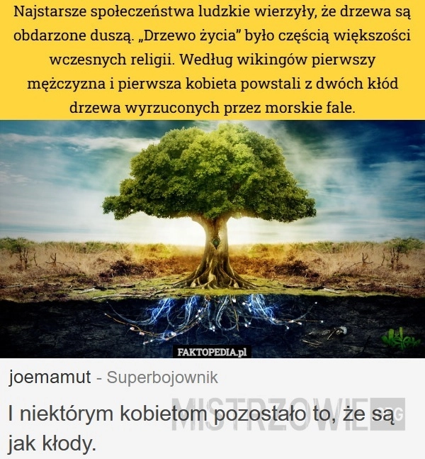 
    Drzewa