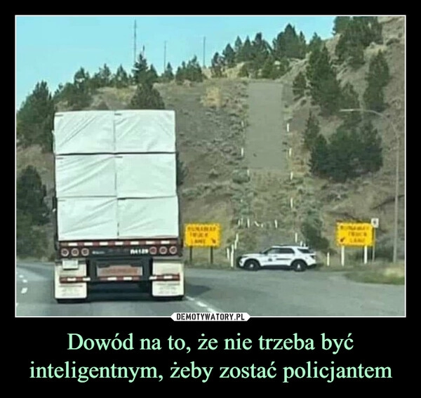 
    Dowód na to, że nie trzeba być inteligentnym, żeby zostać policjantem