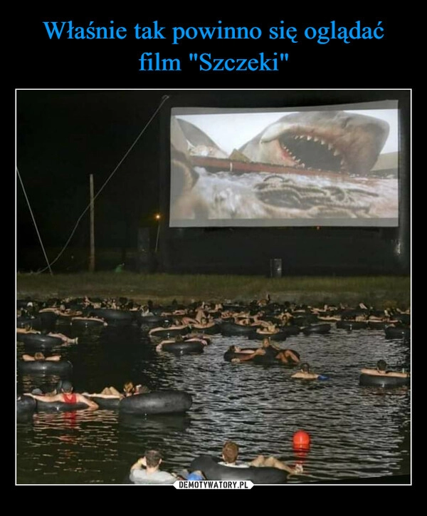 
    Właśnie tak powinno się oglądać film "Szczeki"