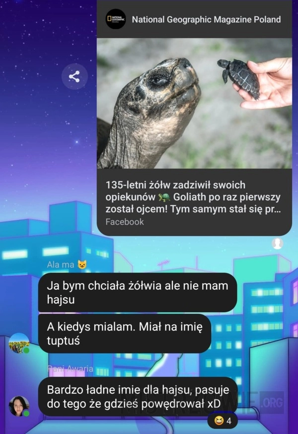 
    Tuptuś