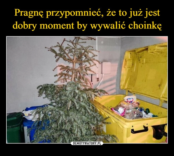 
    Pragnę przypomnieć, że to już jest dobry moment by wywalić choinkę