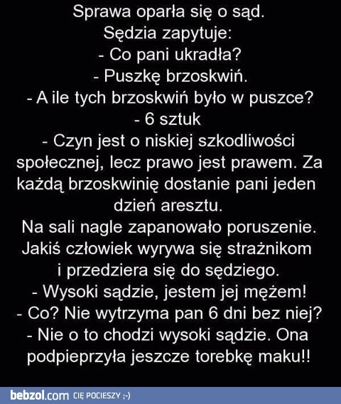 
    Sprawa w sądzie 