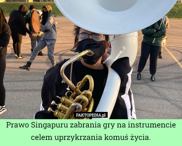 
    Prawo Singapuru zabrania gry na instrumencie celem uprzykrzania komuś życia.