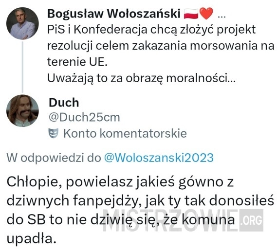 
    Projekt