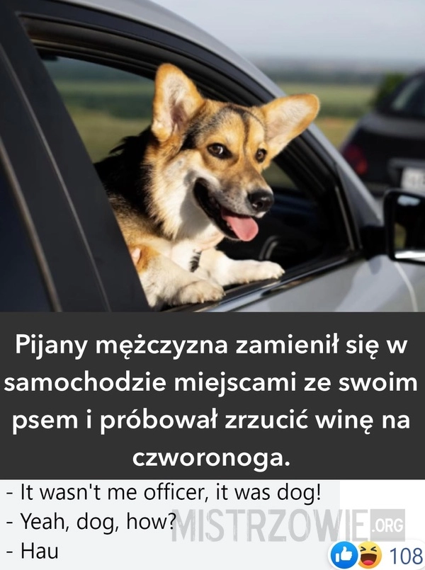 
    Pijany mężczyzna