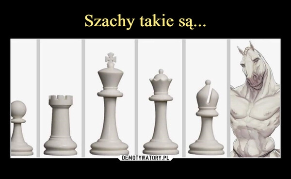 
    Szachy takie są...