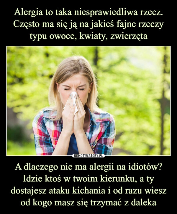 
    Alergia to taka niesprawiedliwa rzecz. Często ma się ją na jakieś fajne rzeczy typu owoce, kwiaty, zwierzęta A dlaczego nie ma alergii na idiotów? Idzie ktoś w twoim kierunku, a ty dostajesz ataku kichania i od razu wiesz od kogo masz się trzymać z daleka