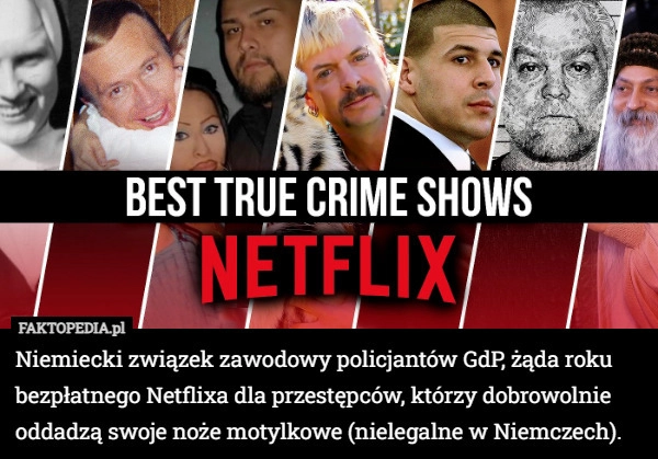 
    Niemiecki związek zawodowy policjantów GdP, żąda roku bezpłatnego Netflixa