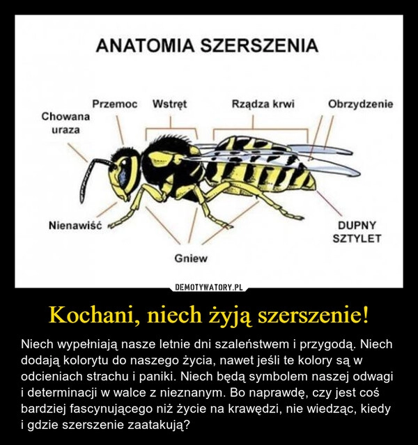 
    Kochani, niech żyją szerszenie!