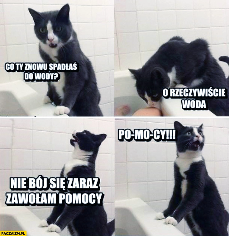 
    Co ty znowu wpadłaś do wody? O rzeczywiście woda. Nie bój się zaraz zawołam pomocy kot