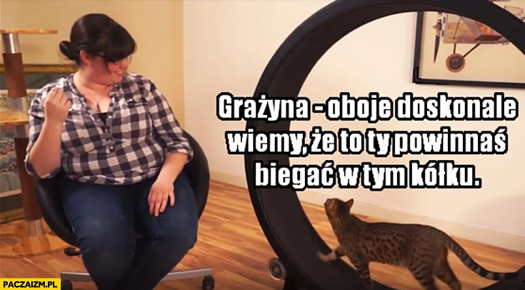 
    Grażyna oboje doskonale wiemy, że to Ty powinnaś biegać w tym kółku kot