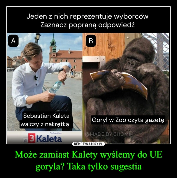 
    Może zamiast Kalety wyślemy do UE goryla? Taka tylko sugestia