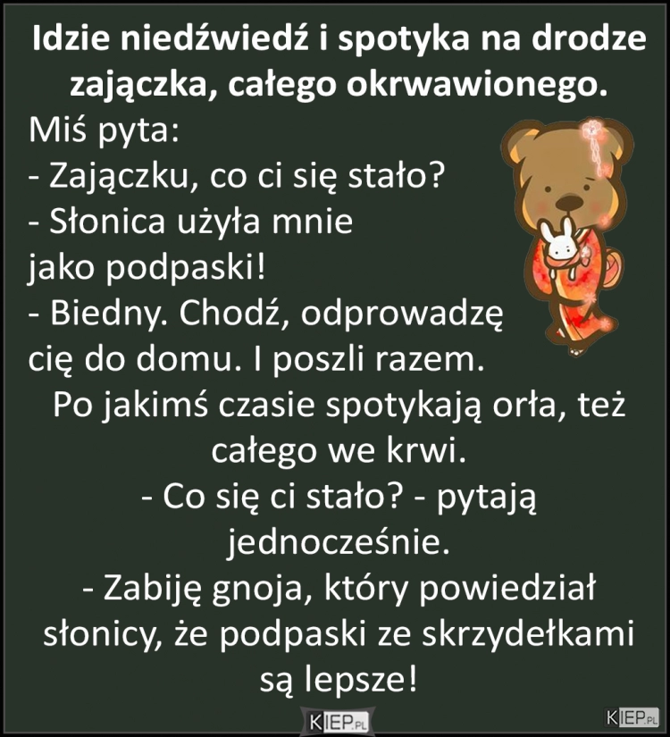 
    Idzie niedźwiedź i spotyka na drodze zajączka, całego okrwawionego...