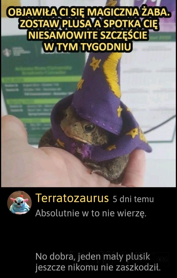 
    Magiczna żaba