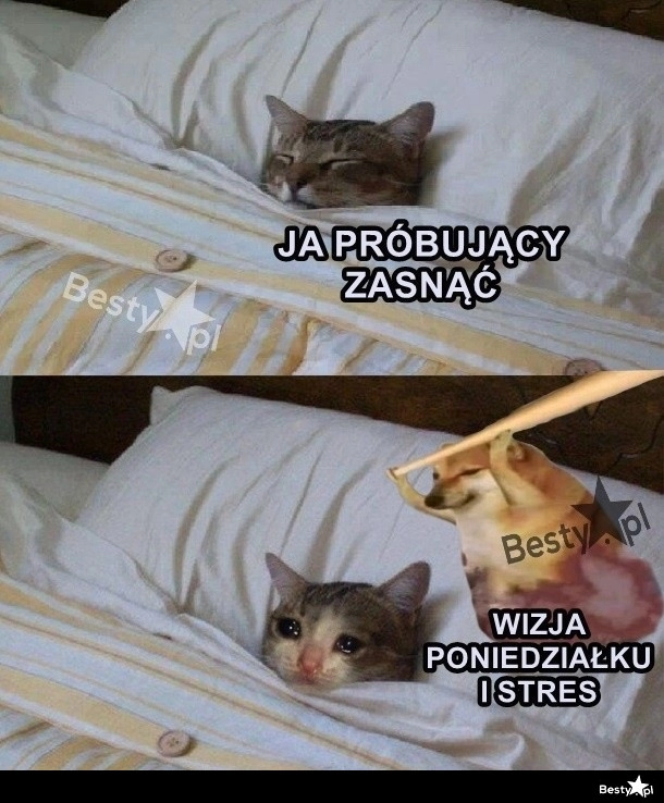 
    Zasypianie w niedzielę 