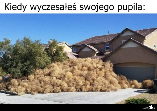 
    Nazbierało się trochę kłaczków 