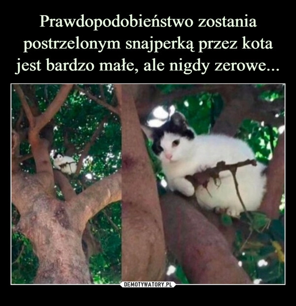 
    Prawdopodobieństwo zostania postrzelonym snajperką przez kota jest bardzo małe, ale nigdy zerowe...