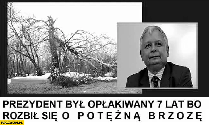 
    Prezydent był opłakiwany 7 lat bo rozbił się o potężną brzozę Lech Kaczyński