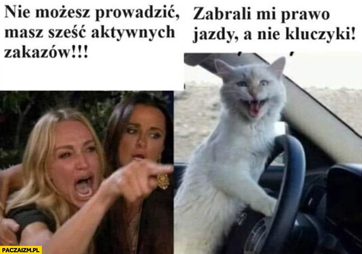 
    Nie możesz prowadzić masz sześc aktywnych zakazów, zabrali mi prawo jazdy a nie kluczyki kot kotek