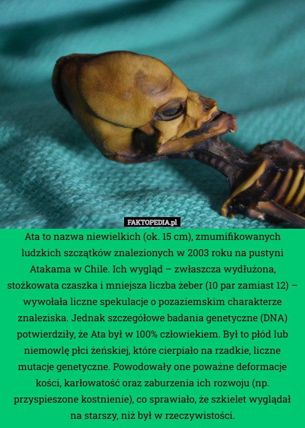 
    Ata to nazwa niewielkich (ok. 15 cm), zmumifikowanych ludzkich szczątków