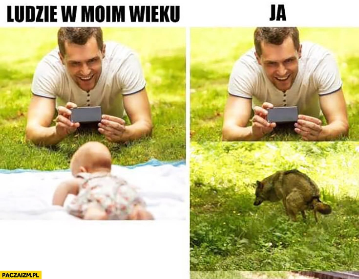 
    Ludzie w moim wieku robią zdjęcie dziecku, ja robię zdjęcie psu robiącemu kupę