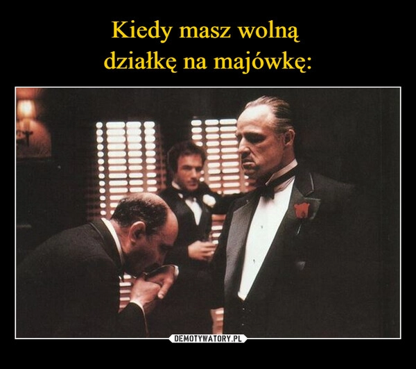 
    Kiedy masz wolną 
działkę na majówkę: