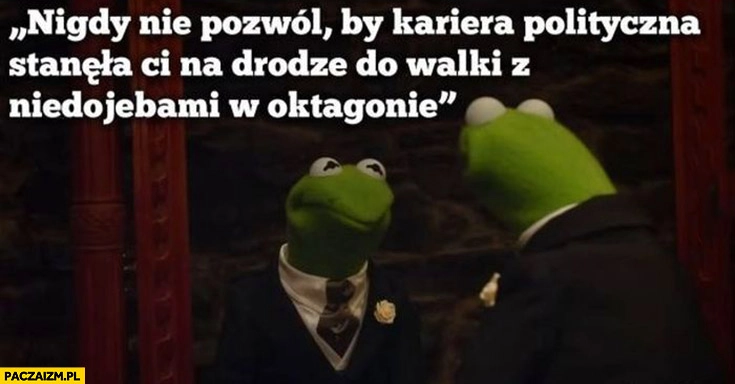 
    Kermit nigdy nie pozwól by kariera polityczna stanęła ci na drodze do walki w oktagonie