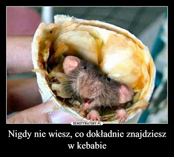 
    Nigdy nie wiesz, co dokładnie znajdziesz w kebabie