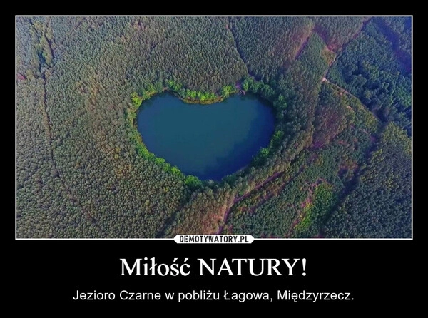 
    Miłość NATURY!