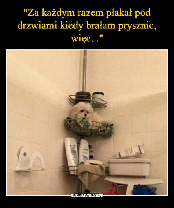 
    "Za każdym razem płakał pod drzwiami kiedy brałam prysznic, więc..."