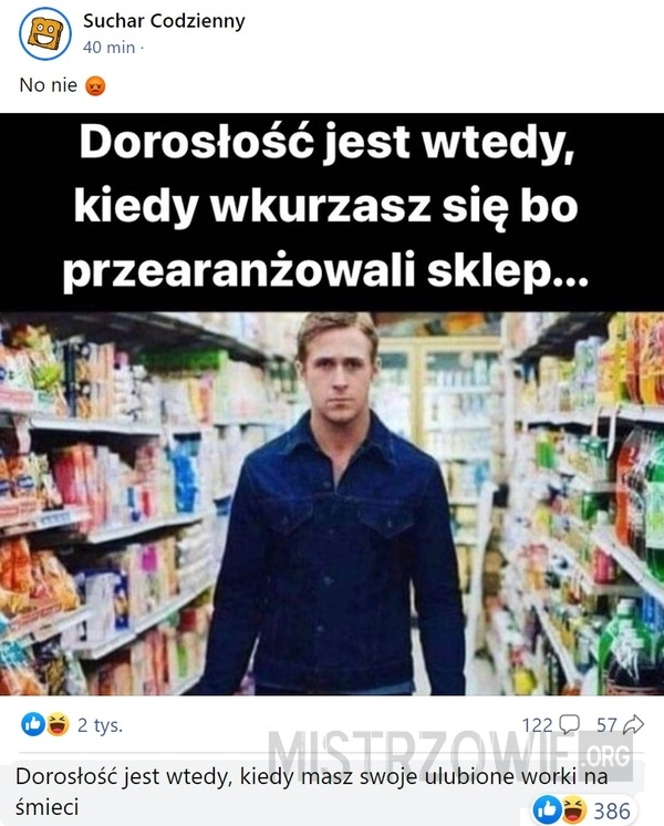 
    Dorosłość