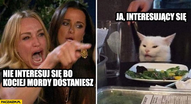 
    Nie interesuj się bo kociej mordy dostaniesz ja interesujący się