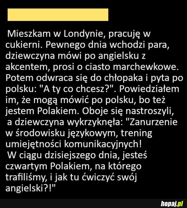 
    Wszędzie ci polacy...