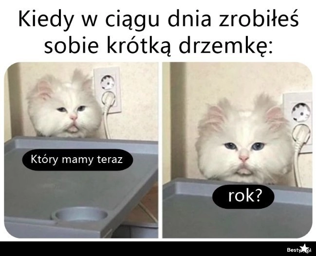 
    Drzemka 