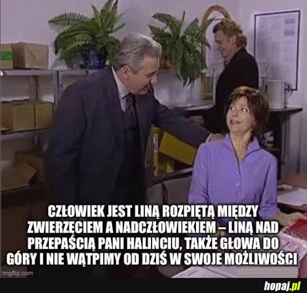 Pani Halinciu