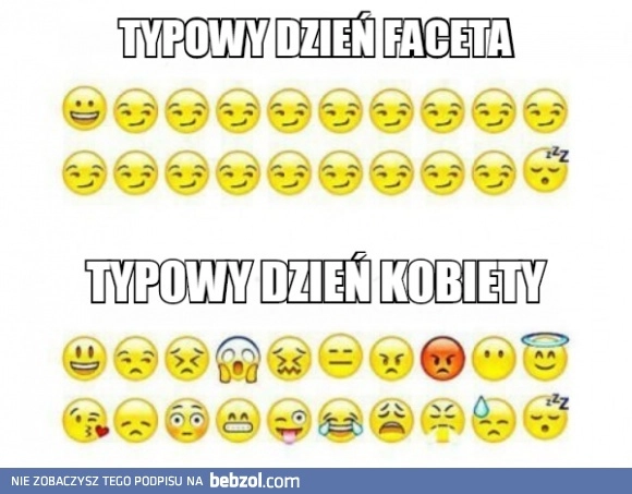 
    Typowy dzień