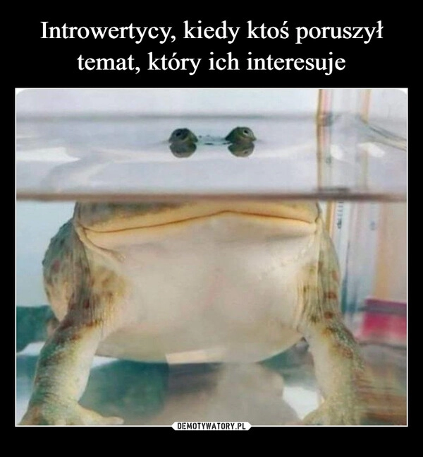 
    Introwertycy, kiedy ktoś poruszył temat, który ich interesuje