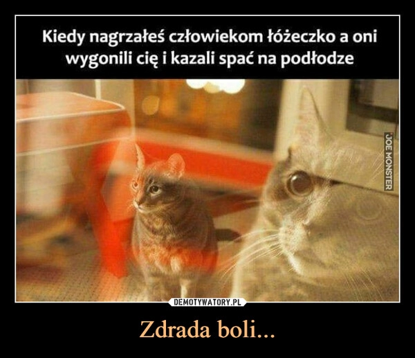 
    Zdrada boli...