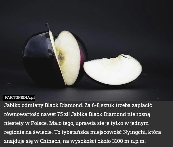 
    Jabłko odmiany Black Diamond. Za 6-8 sztuk trzeba zapłacić równowartość