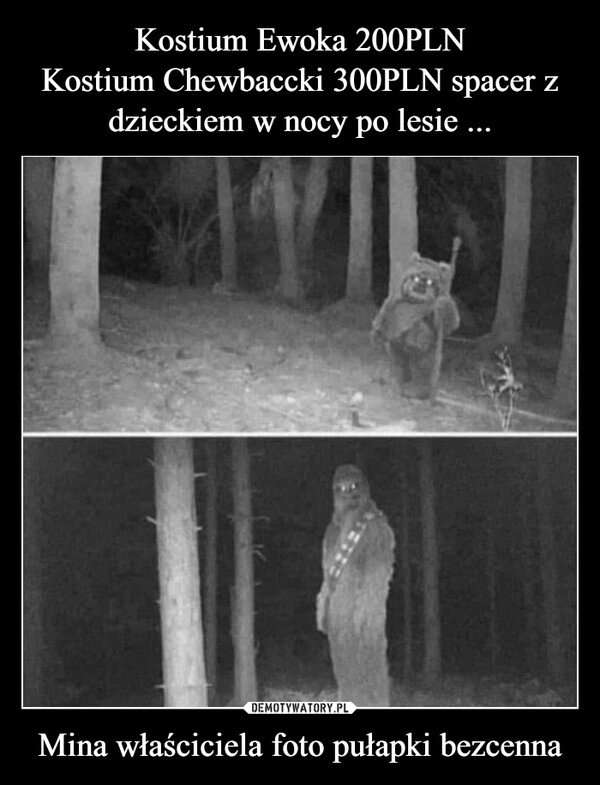 
    Kostium Ewoka 200PLN
Kostium Chewbaccki 300PLN spacer z dzieckiem w nocy po lesie ... Mina właściciela foto pułapki bezcenna