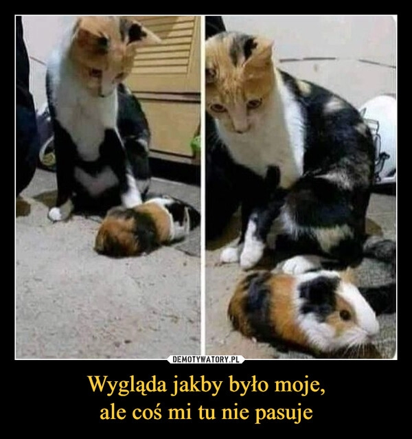 
    
Wygląda jakby było moje,
ale coś mi tu nie pasuje 