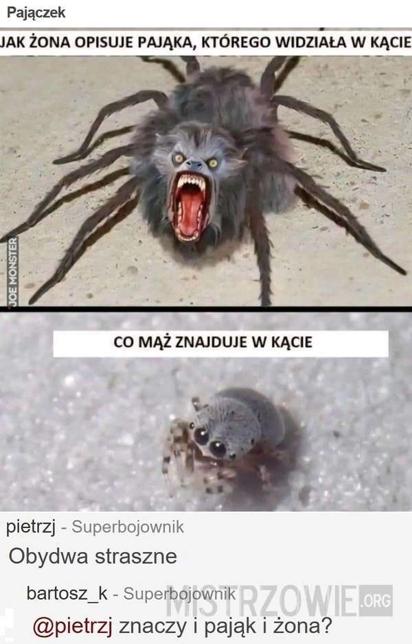 
    Pajączek