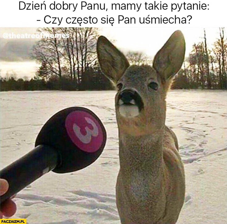 
    Dzień dobry panu, mamy takie pytanie: czy często się Pan uśmiecha? Sarna sarenka jeleń upadł głupi ryj rozwalił
