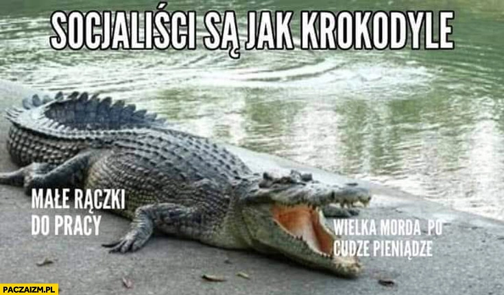 
    Socjalisci są jak krokodyle: małe rączki do pracy, wielka morda po cudze pieniądze