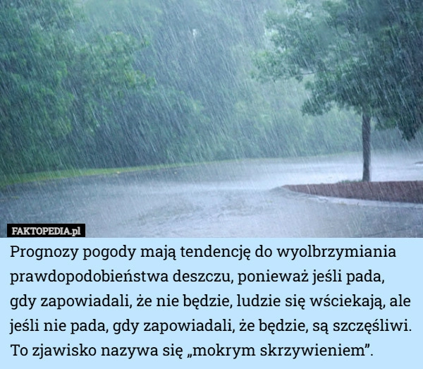 
    Prognozy pogody mają tendencję do wyolbrzymiania prawdopodobieństwa deszczu...