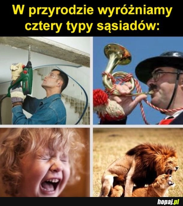 
    Cztery typy sąsiadów