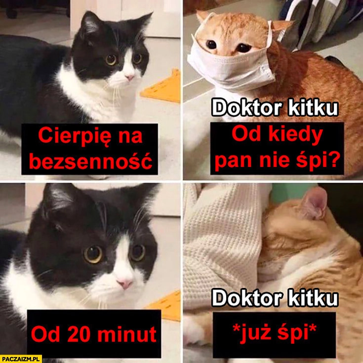 
    Cierpię na bezsenność, doktor kitku: od kiedy pan nie śpi? Od 20 minut, doktor kitku: już śpi