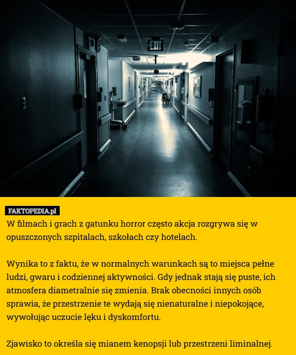 
    W filmach i grach z gatunku horror często akcja rozgrywa się w opuszczonych