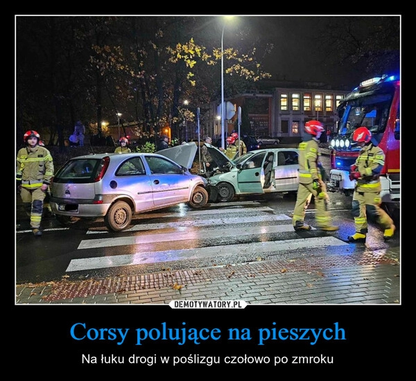 
    Corsy polujące na pieszych